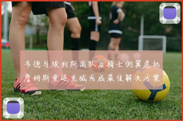 韦德与埃利斯离队后骑士侧翼危机詹姆斯重返克城或成最佳解决方案