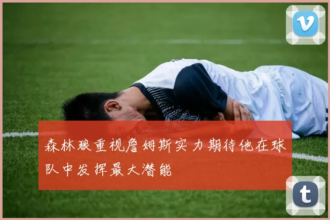 森林狼重视詹姆斯实力期待他在球队中发挥最大潜能